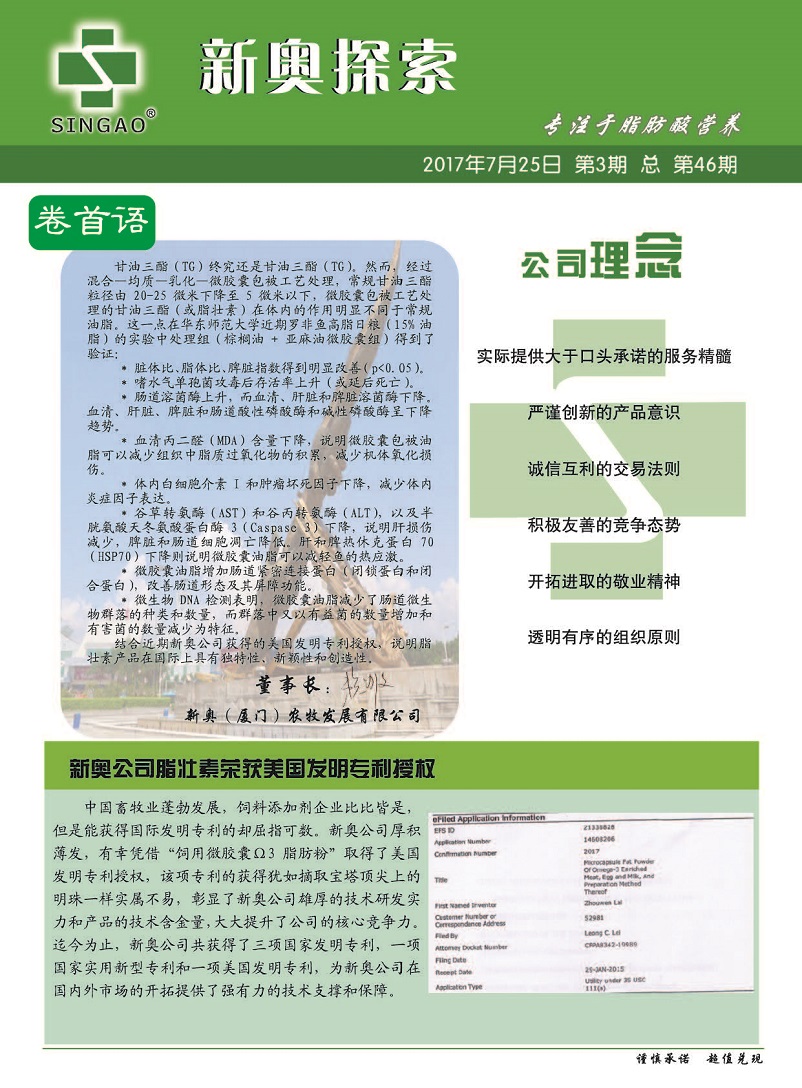 2024新奧精準(zhǔn)資料免費(fèi)|有效釋義解釋落實(shí),揭秘新奧精準(zhǔn)資料，免費(fèi)獲取、有效釋義與落實(shí)策略