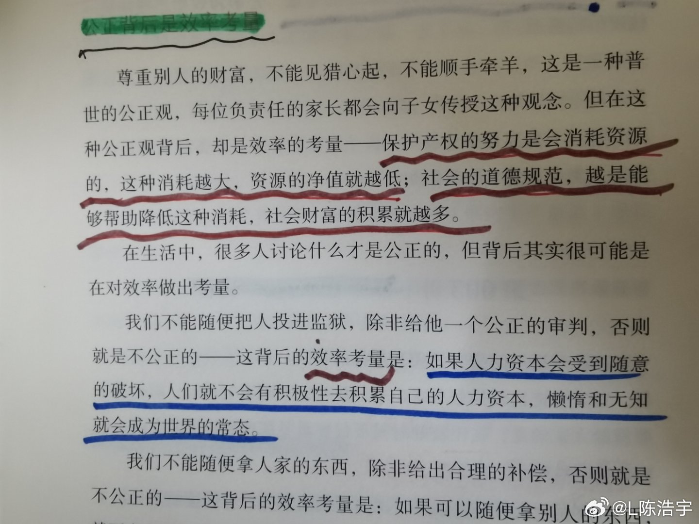 一肖一碼一一肖一子|理性釋義解釋落實(shí),一肖一碼一一肖一子，理性釋義、解釋與落實(shí)