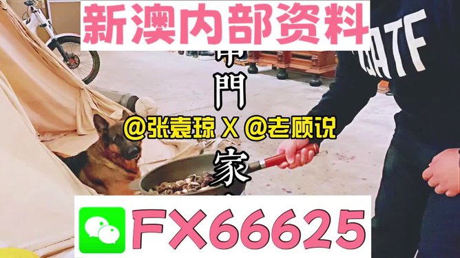 新澳門精準(zhǔn)資料大全管家婆料|適用釋義解釋落實(shí),新澳門精準(zhǔn)資料大全與管家婆料，適用釋義、解釋及落實(shí)