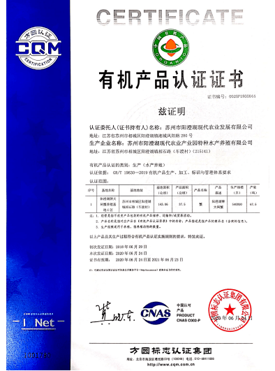 新奧門特免費資料大全管家婆|國際釋義解釋落實,新澳門特免費資料大全管家婆與國際釋義解釋落實研究