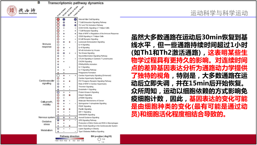 新澳2025最新資料大全,決策資料解釋定義_AR94.463,新澳2025最新資料大全與決策資料解釋定義——AR94.463關鍵詞解析