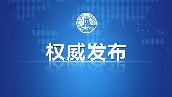 新奧2025最新資料大全準(zhǔn)確資料全面數(shù)據(jù)、解釋與落實(shí),新奧集團(tuán)2025最新資料大全，準(zhǔn)確資料、全面數(shù)據(jù)與落實(shí)策略