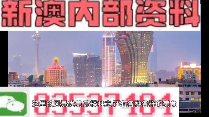 澳門(mén)與香港;-2025年管家婆100%精準(zhǔn)的全面釋義與展望,澳門(mén)與香港，未來(lái)十年（至2025年）管家婆式的精準(zhǔn)解讀與展望